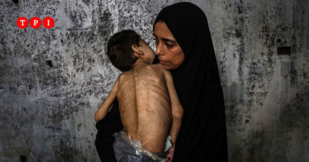 guerra gaza israele hamas inchiesta guardian tel aviv affama la striscia dati cogat