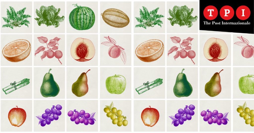 dietologo nicola sorrentino intervista dieta mediterranea