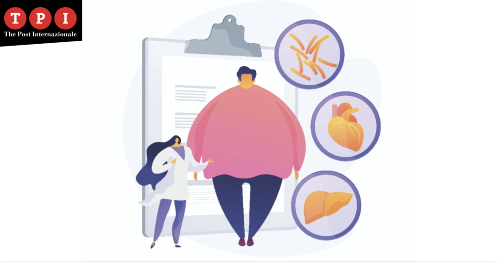 giappone metabo law obesità