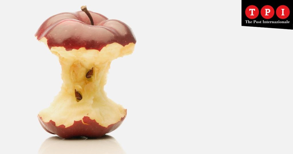 intervista ludovica principato cambiamenti climatici dieta cibo salute economia spreco alimentare