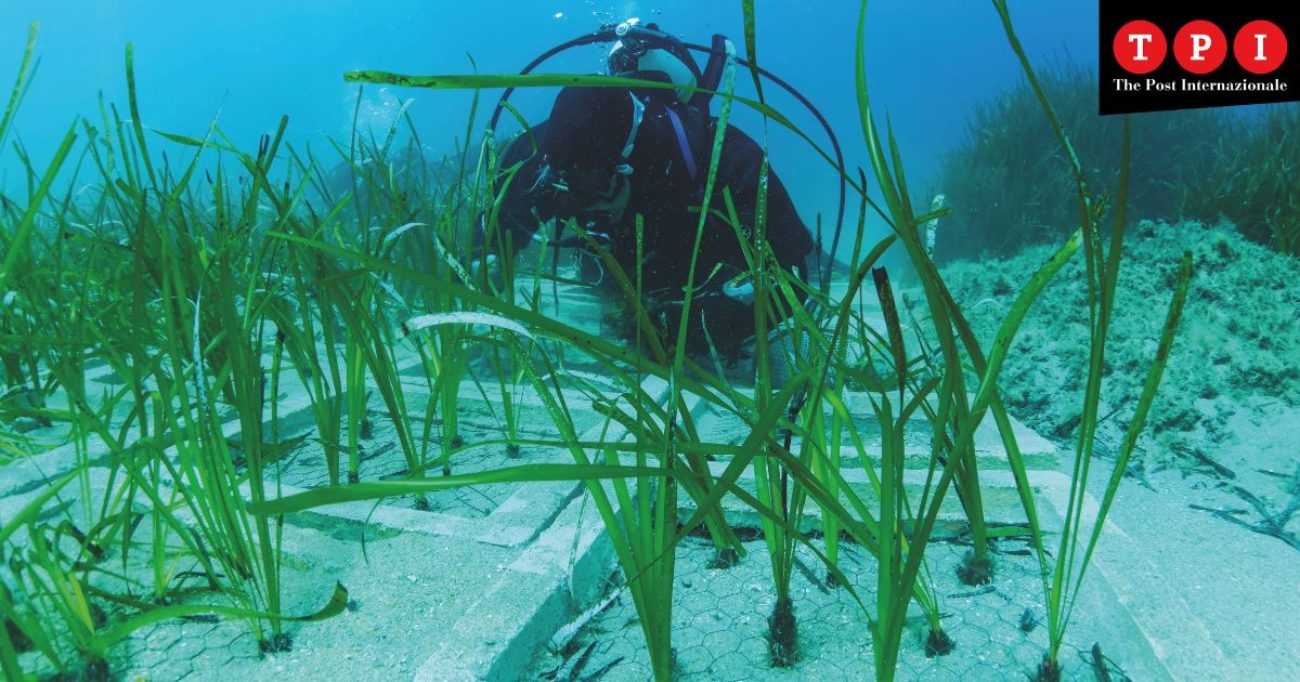 tyrrhenian link cosa c8217232 dietro una grande opera