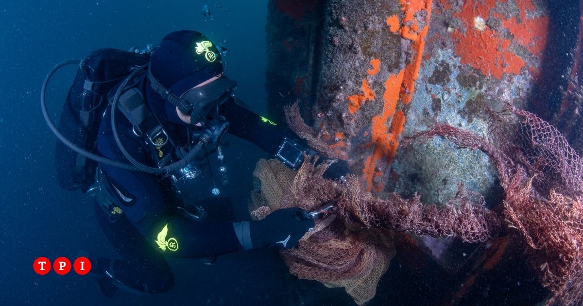 I fondali di Genova liberati da una maxi rete fantasma grazie alla missione di WWF e Carabinieri subacquei