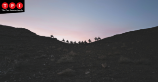 Immagine di copertina