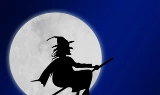 Immagine di copertina