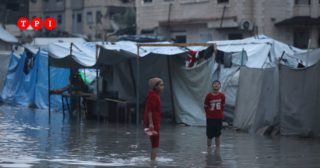 Immagine di copertina