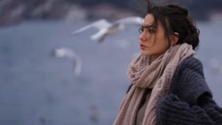 Immagine di copertina