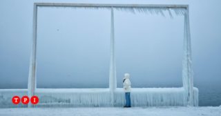 Immagine di copertina