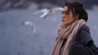 Immagine di copertina