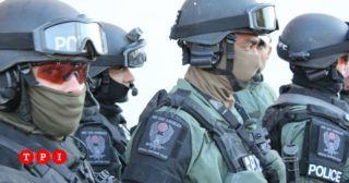 Immagine di copertina