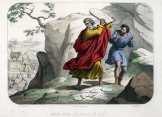 Immagine di copertina