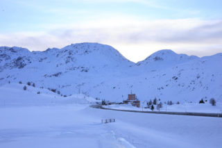 Immagine di copertina