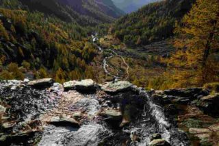 Immagine di copertina