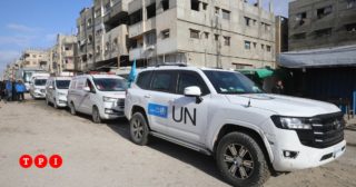 Immagine di copertina