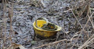 Immagine di copertina