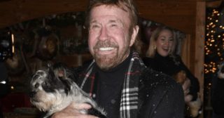 Immagine di copertina