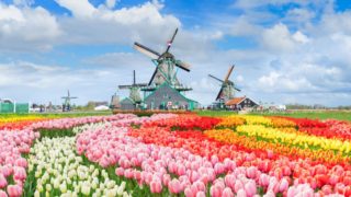 Immagine di copertina