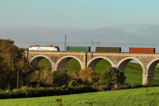 Immagine di copertina