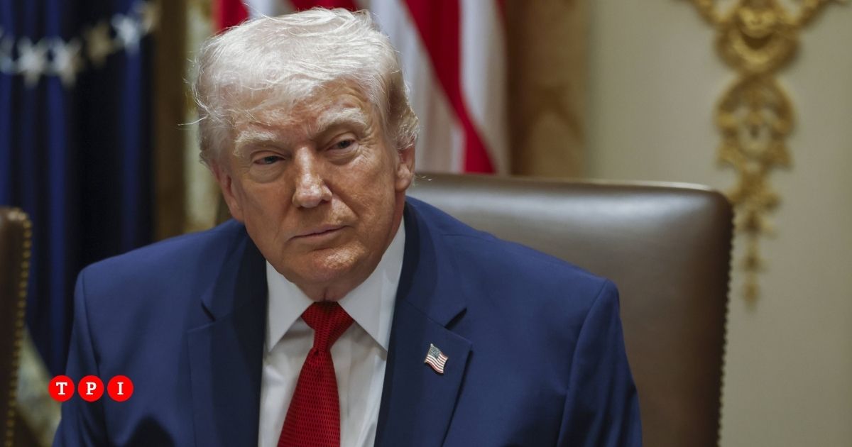 gli influencer maga scaricano trump l8217attacco del presidente usa sono persone stupide da Tpi.it gli influencer maga scaricano trump l8217attacco del presidente usa sono persone stupide