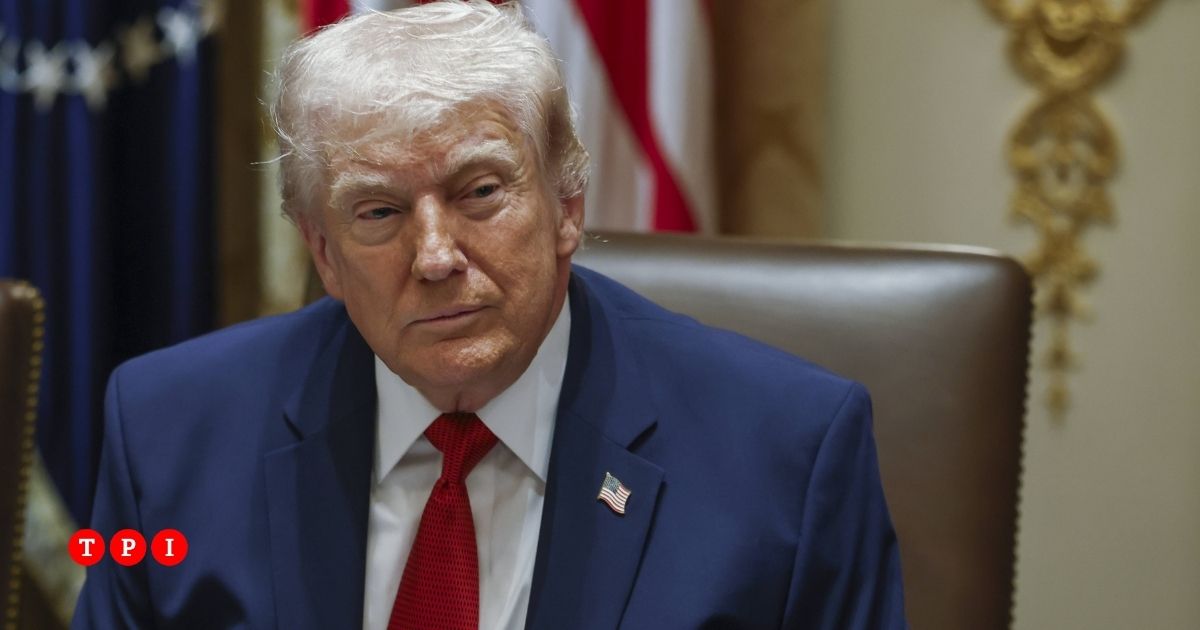 le dichiarazioni di trump e la teoria del pazzo che cosa 232 e come funziona da Tpi.it le dichiarazioni di trump e la teoria del pazzo che cosa 232 e come funziona