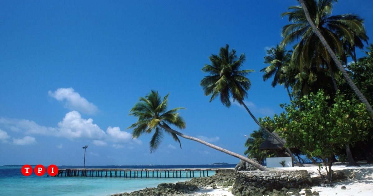 recuperati tutti i corpi dei sub italiani morti alle maldive avevano attrezzatura per immersioni ricreative la prof indossava una tuta corta da Tpi.it recuperati tutti i corpi dei sub italiani morti alle maldive avevano attrezzatura per immersioni ricreative la prof indossava una tuta corta