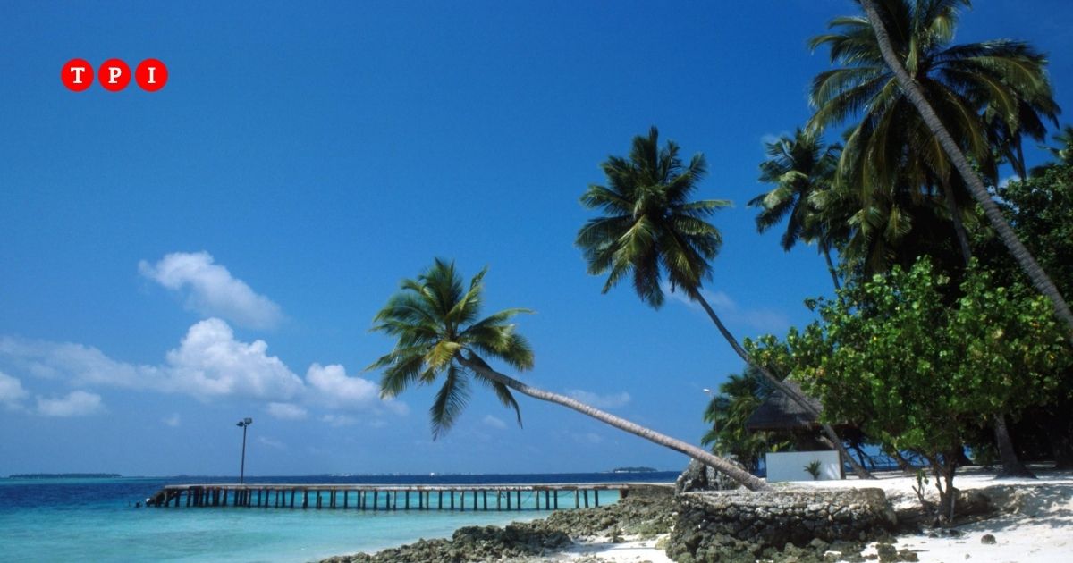perdita di orientamento tossicit224 nelle bombole o panico le ipotesi sulla morte dei cinque sub italiani alle maldive da Tpi.it perdita di orientamento tossicit224 nelle bombole o panico le ipotesi sulla morte dei cinque sub italiani alle maldive