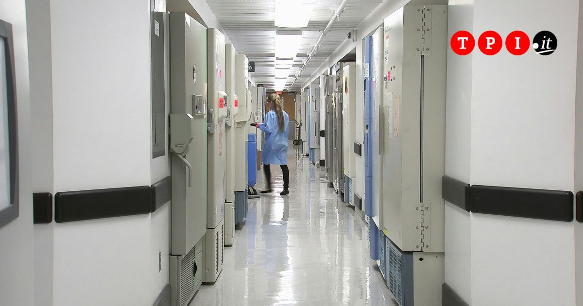 bimba non vaccinata morta per difterite i genitori denunciano gli ospedali da Tpi.it bimba non vaccinata morta per difterite i genitori denunciano gli ospedali