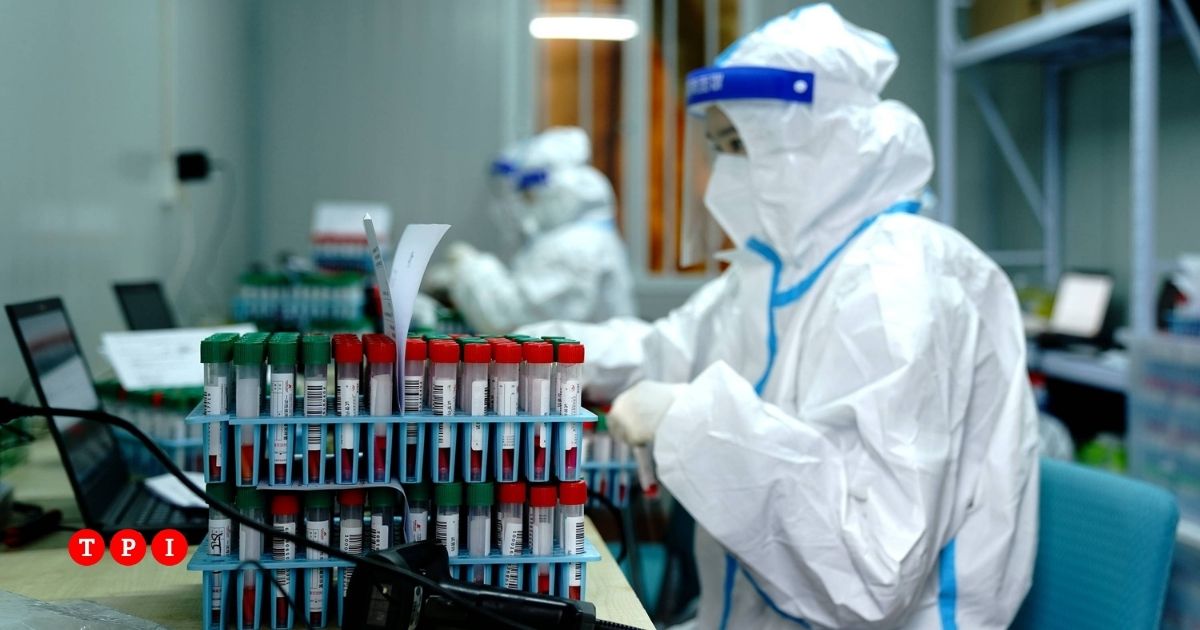 il mondo 232 impreparato a una nuova pandemia l8217allarme della rivista the lancet da Tpi.it il mondo 232 impreparato a una nuova pandemia l8217allarme della rivista the lancet