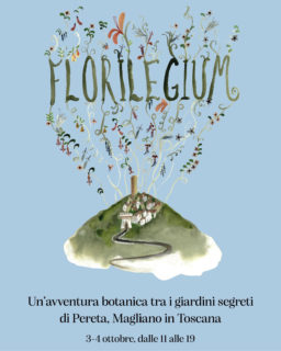 Immagine di copertina